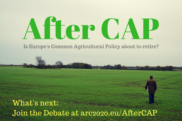 After CAP, is Europe’s Common Agricultural policy about to retire?